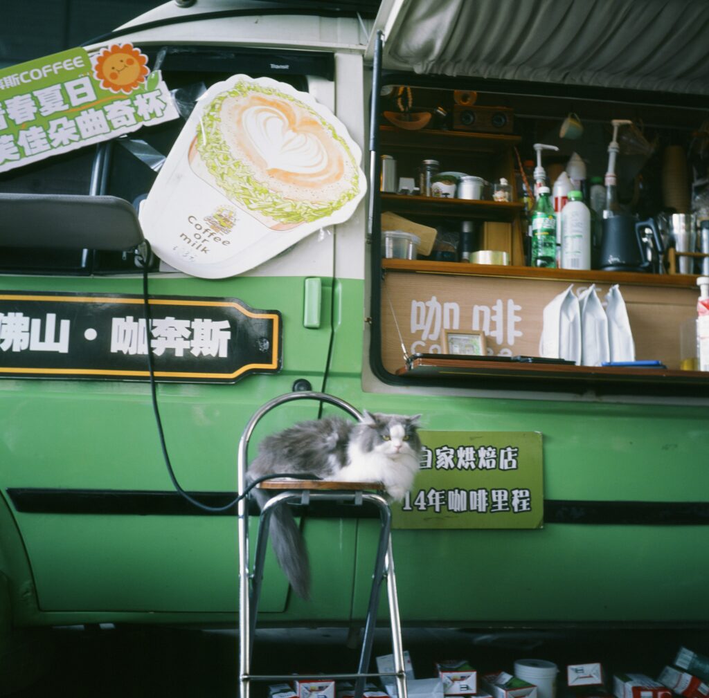 A very fluffy and angry looking grey and white cat is sitting on a stool in front of a green Japanese coffee food truck thing.