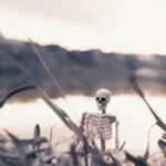 Notably-Open Markets, October Edition